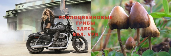 спайс Волоколамск